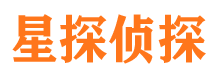 薛城市场调查